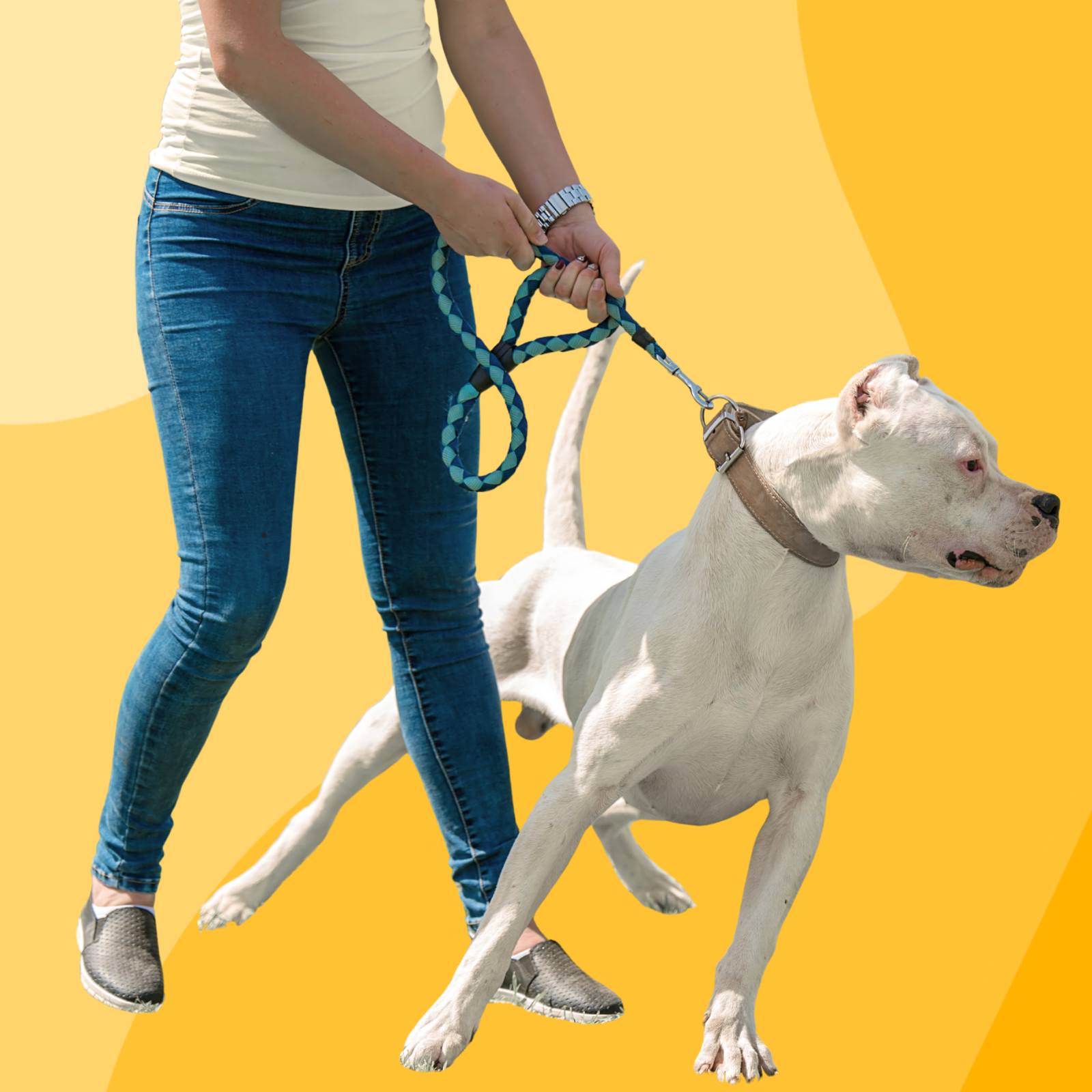 Behavior Modification